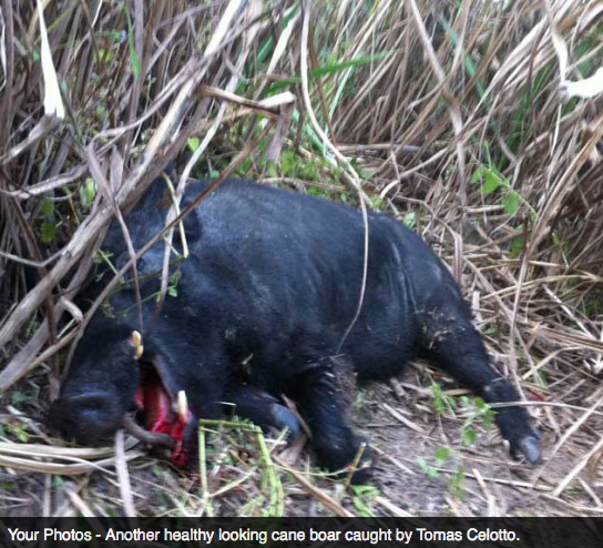 Screen Shot 2013-10-02 at 1.34.58 PM